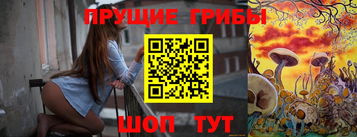 Псилоцибиновые грибы мицелий  Псилоцибиновые грибы GOLDEN TEACHER  Вязьма  Вход с VPN 